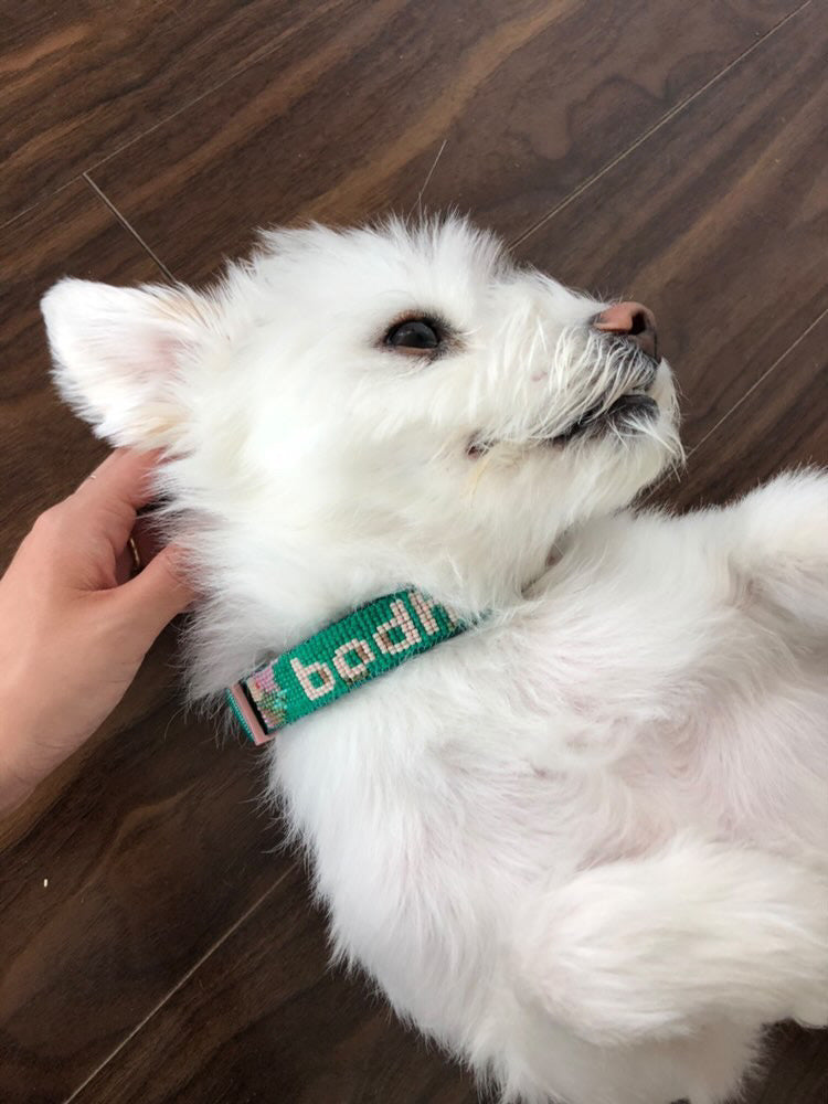 Custom Beaded Pet Collar (DEPOSIT)